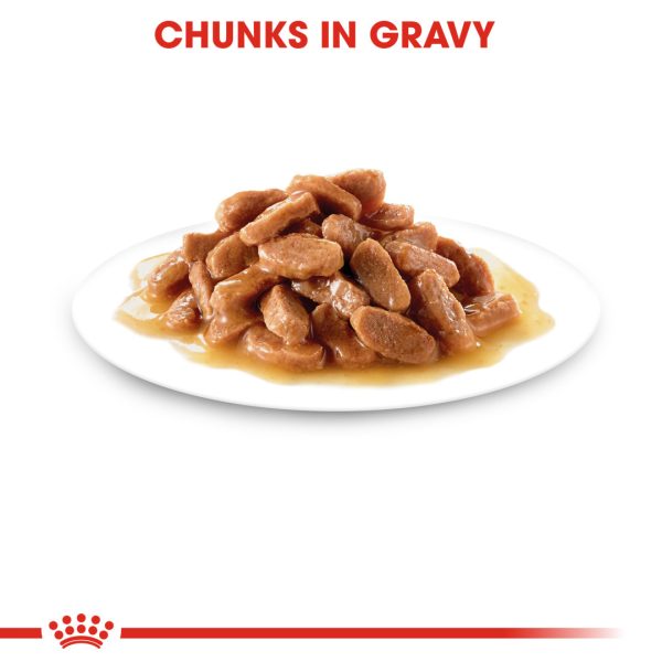 Royal Canin Wet Kitten Gravy Cat Pouch 85g x 12pack (box)