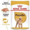 Royal Canin Poodle Adult Wet Dog Food (LOOSE) - 85G